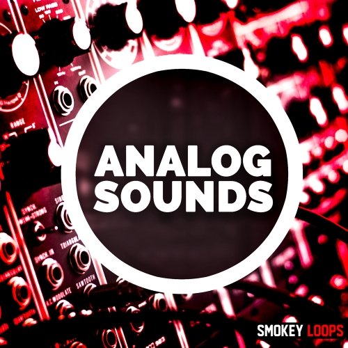 Smokey Loops Analog Sounds WAV