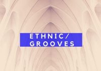 Fume Music Ethnic Grooves WAV
