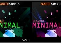 Pakotec Samples Bizarre Minimal Vol 1 & 2 WAV REX AIFF