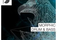 Samplephonics Morphic Drum & Bass MULTIFORMAT