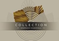 NI Symphony Essentials Collection Kontakt Library