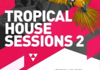 Tropical House Sessions Vol 2 MULTIFORMAT