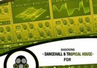 Shocking Dancehall & Tropical House For Serum