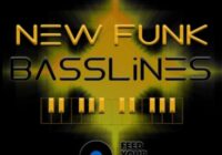 Feed Your Soul New Funk Basslines