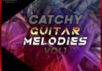 Toolbox Samples Catchy Guitar Melodies Vol 1 WAV