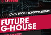 Drop It Louder Future G-House Massive Presets