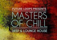 Masters Of Chill - Deep & Lounge House WAV