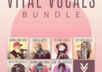 Vital Vocals Sample Packs Bundle