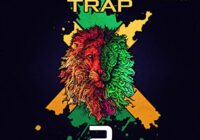 Reggae X Trap 2