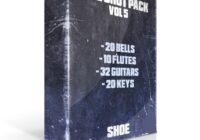 SHOE One Shot Pack Vol.5 WAV
