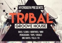 Hy2rogen Tribal Groove House Sample Pack
