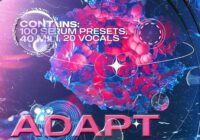 Synthetic & Bart How Adapt Vol. 2 Sound Kit [Serum + One-Shot Kit]