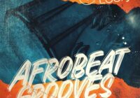 Afrobeat Grooves