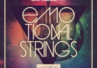 Emotional Strings
