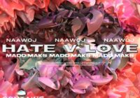 Madd Maks + Naawoj - Hate v. LUV [LoopKit] WAV