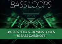 Baltic Audio Slap House Bass Loops WAV MIDI