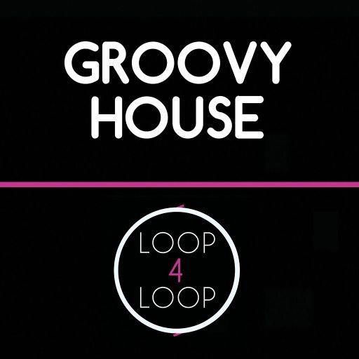 Loop 4 Loop Groovy House WAV