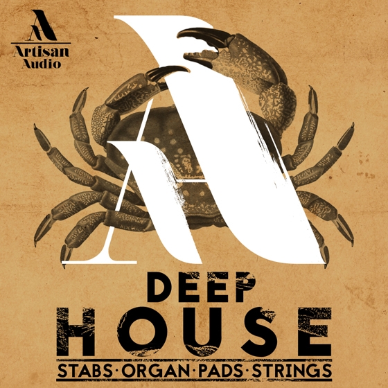 Artisan Audio Deep House: Stabs Organ Pads & Strings WAV MIDI