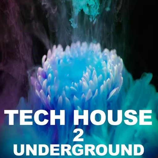Beatrising Tech House Underground 2 WAV