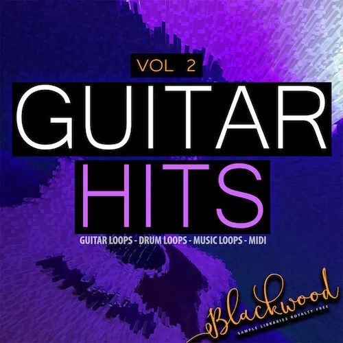 Blackwood Samples Guitar Hits Vol.2 WAV MIDI