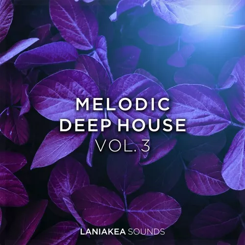 Laniakea Sounds Melodic Deep House Vol.3 WAV MIDI PRESETS
