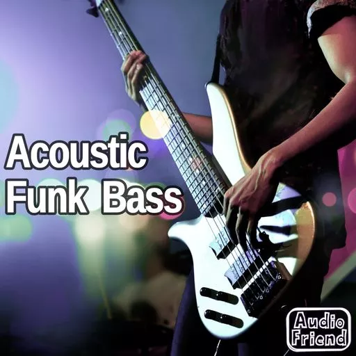 AudioFriend Acoustic Funk Bass WAV
