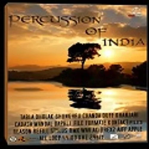 GBR Percussion Percussion Of India Vol.1 WAV KONTAKT