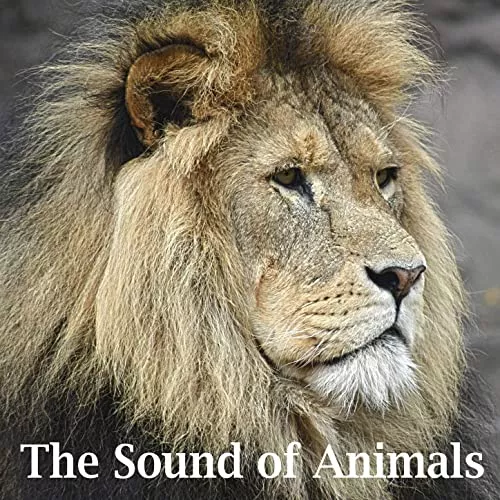 Sound Effects Factory The Sound of Animals WAV