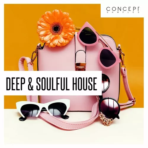 Concept Samples Deep & Soulful House WAV