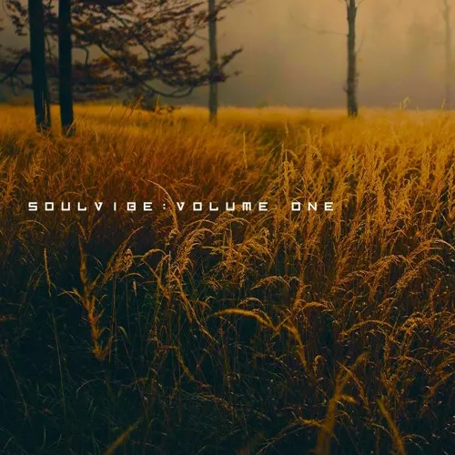 KAN Samples Soulvibe Vol.1 WAV