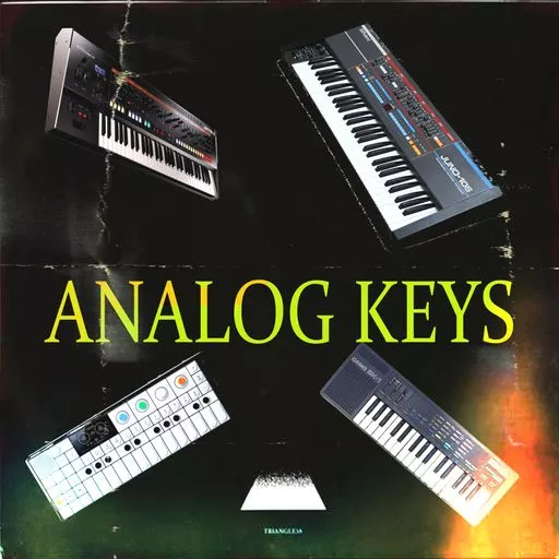 Loops 4 Producers Analogue Keys WAV
