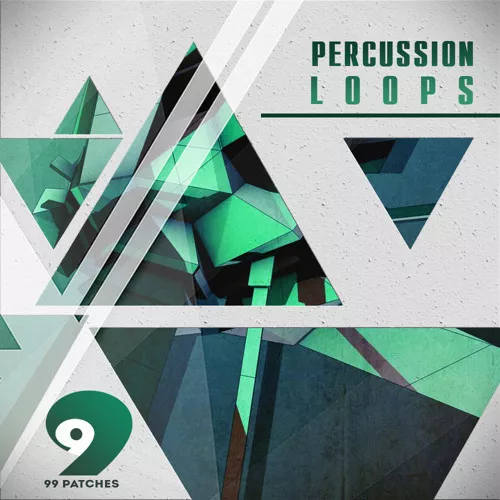 99 Patches Presents: Percussion Loops WAV
