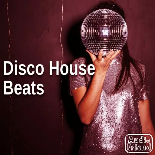 AudioFriend Disco House Beats WAV