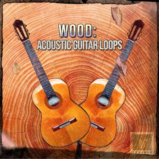 Toolbox Samples Wood Acoustic Guitar Loops WAV