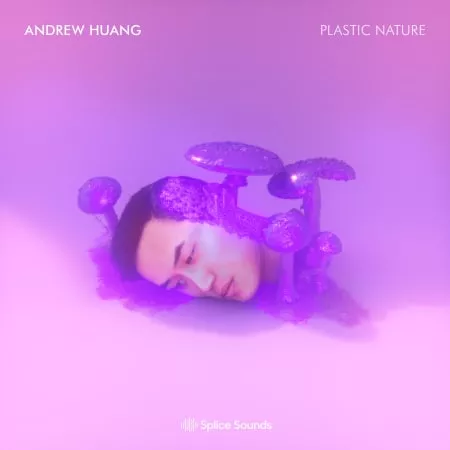Andrew Huang's Plastic Nature