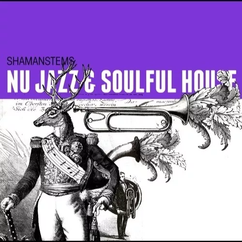 ShamanStems Nu Jazz & Soulful House WAV