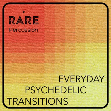 Everyday Psychedelic Transitions Vol. 1 WAV