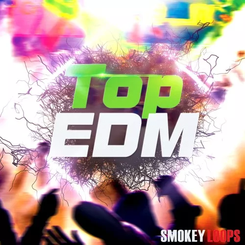 Smokey Loops Top EDM WAV MIDI FXP SPF