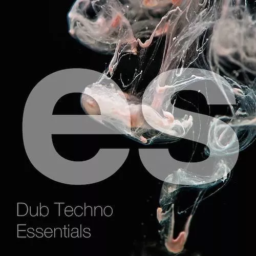 Engineering Samples Dub Techno Essentials WAV