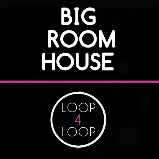 Loop 4 Loop Big Room House WAV