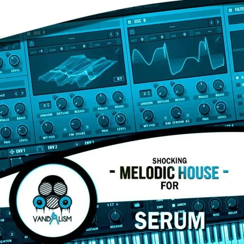 Shocking Melodic House For Serum WAV FXP