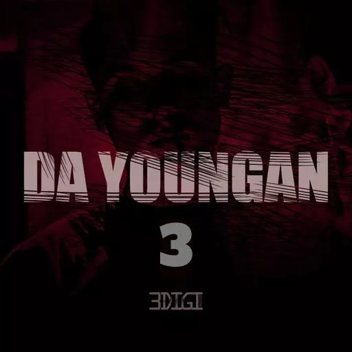 3Digi Audio Da Youngan 3 WAV