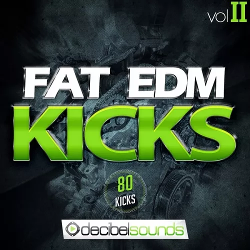 Decibel Sounds Fat EDM Kicks Vol.2 WAV