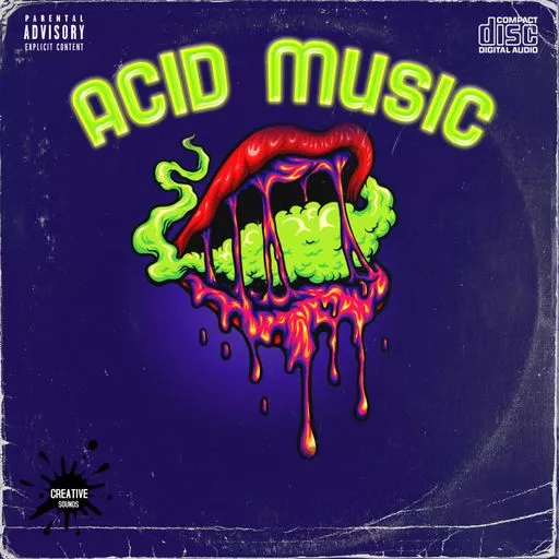 HOOKSHOW Acid Music WAV