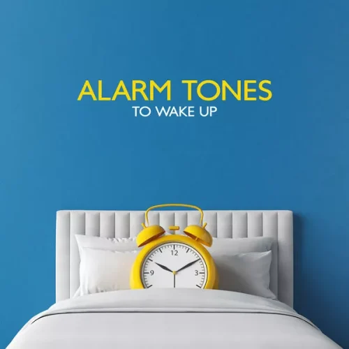 Sound Effects Zone Alarm Tones to Wake Up FLAC