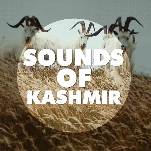 Sounds Of Kashmir WAV MIDI PRESETS
