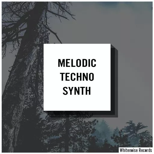 Whitenoise Records Melodic Techno Synth WAV
