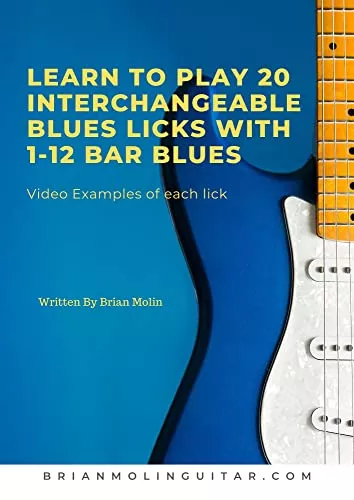 Learn To Play 20 Interchangeable Blues Licks With 1- 12 Bar Blues: Beginner to Intermediate Levels PDF