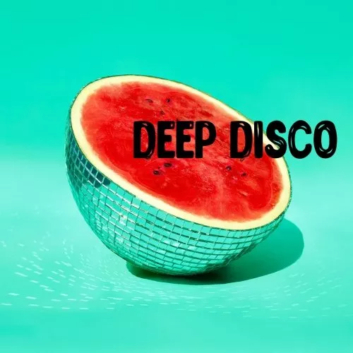 Airbuzz Recordings Deep Disco