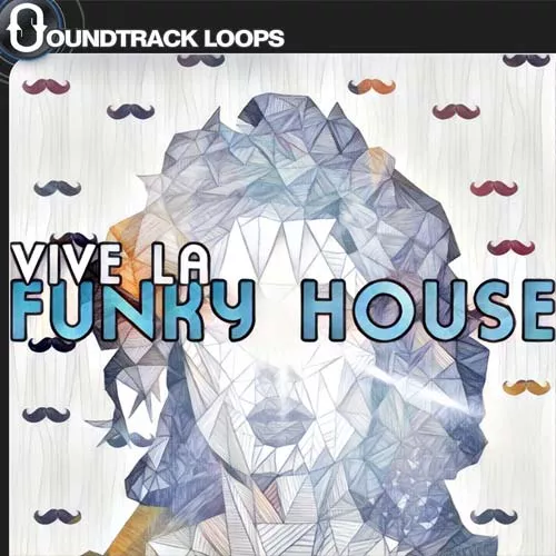 Soundtrack Loops Vive La Funky House